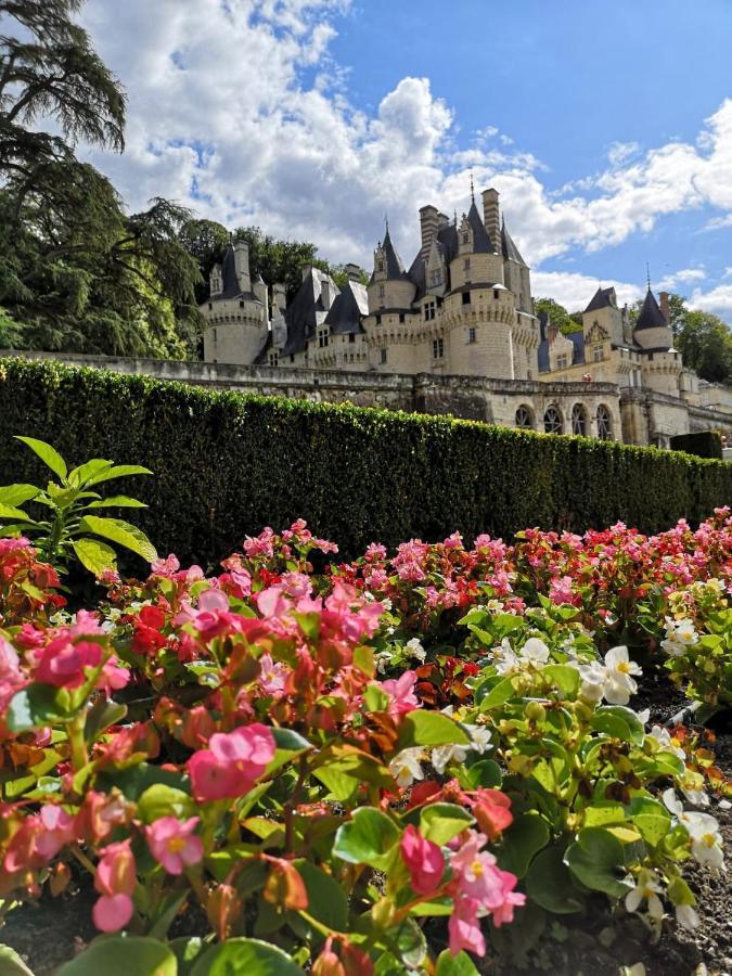 Gite De La Cale De La Clauderie Rigny-Usse Экстерьер фото