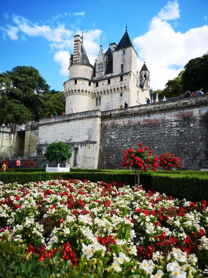 Gite De La Cale De La Clauderie Rigny-Usse Экстерьер фото